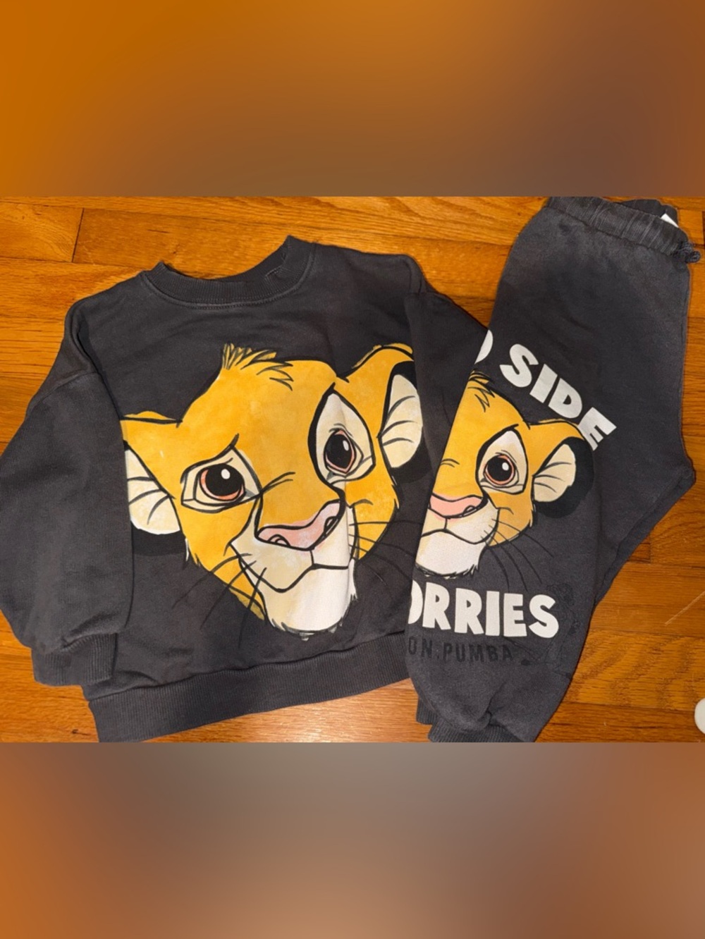 Zara Lion King Set